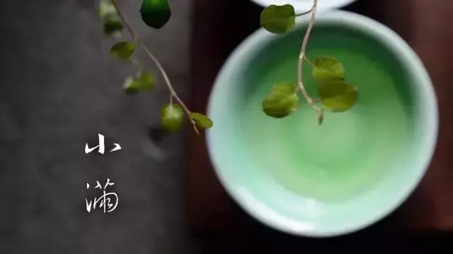 小满小满,麦粒渐满